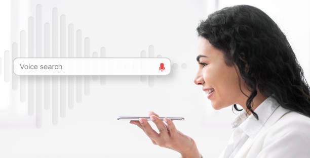 website voice search